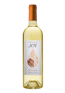 Joy Saint André